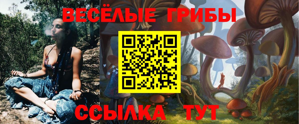 Галлюциногенные грибы Cubensis Наро-Фоминск